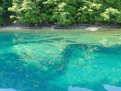 ̂񂿂񂳂Ezo Nature ACTւ̓eʐ^1