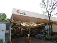 �̂�䂫����̓��q�t���b�V���p�[�N�����ւ̓��e�ʐ^1