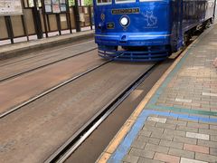 ؂̒dCOi̘Hʓdԁjւ̓eʐ^1