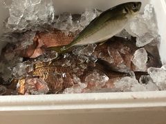 L[̊Cޖx@ނ̓Cւ̓eʐ^1