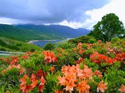 I̖씽΂̃QccW̓eʐ^1