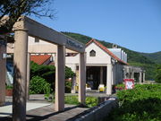 ̂䂫̓̉w ˔_ƌ̓eʐ^1