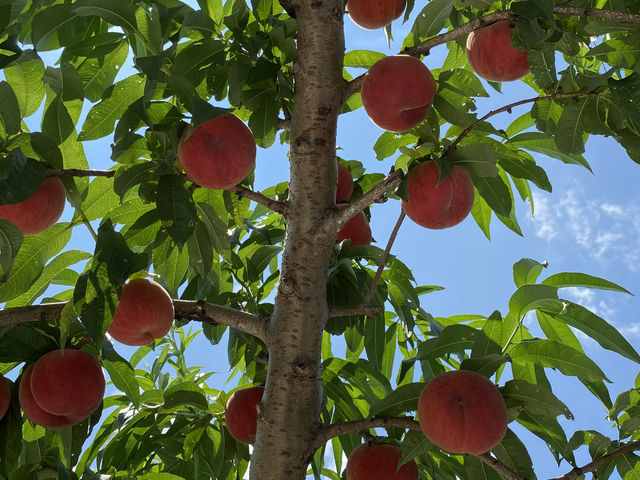 �������������҂��Ă܂�_�܂邹���ʎ���