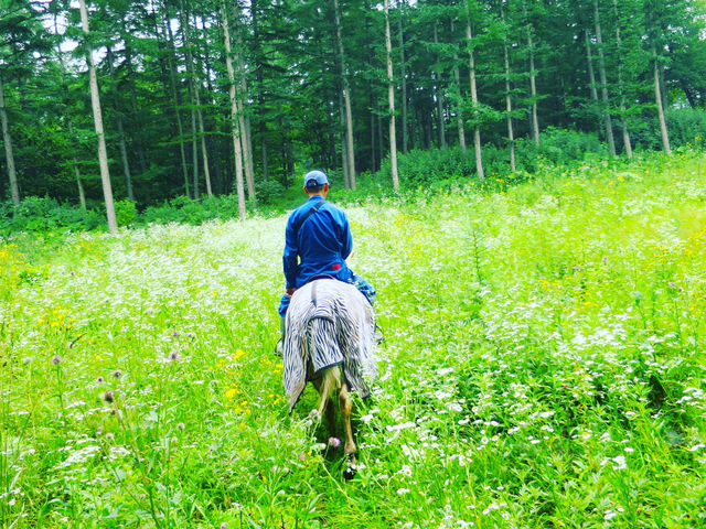 7{AX̒ɂ͖쑐̂ԔA̒܂B_cq@Ђ܂nNu