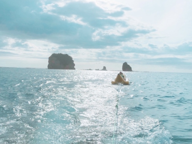 �V��A���P�[�V�����Ƃ���_�}�����X�|�[�c�@���A���K�`