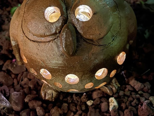 ��������Ƃ�����_��ÍW�q