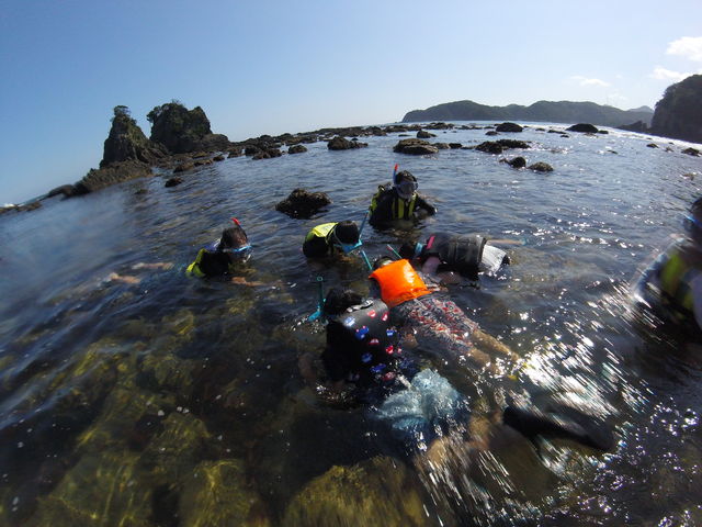 �Y��Ȉ�ł�_�G�R�T�[�t�@�[