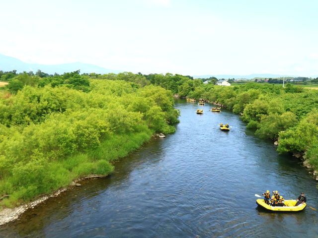 vvŃJ}X^oCĂ܂_kCCIAhx`[