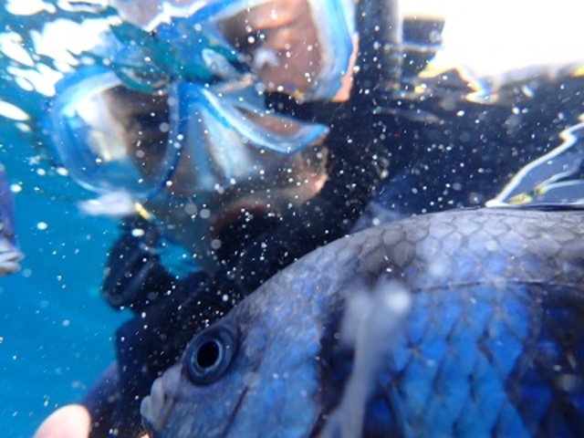 a^CBW܂Ă܂B_̓A@SҐX@B-tide