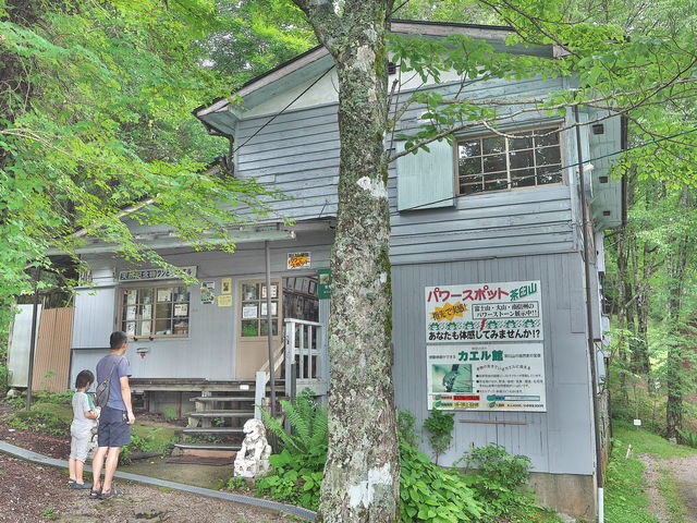 sklfh̒PRJGق̓eʐ^1