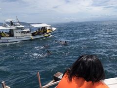 ݂񂳂̃CJEHb`O VÊόDւ̓eʐ^1