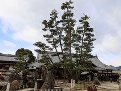 Yanwenliさんの大願寺（広島県廿日市市）への投稿写真1