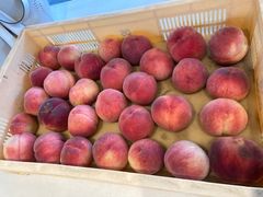 hatori̋vۓc_ւ̓eʐ^2