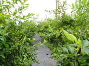 񂳂̃N^t[ct@[̓eʐ^2