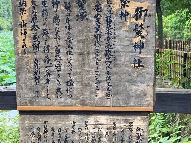 �䔯�_��_�䔯�_��