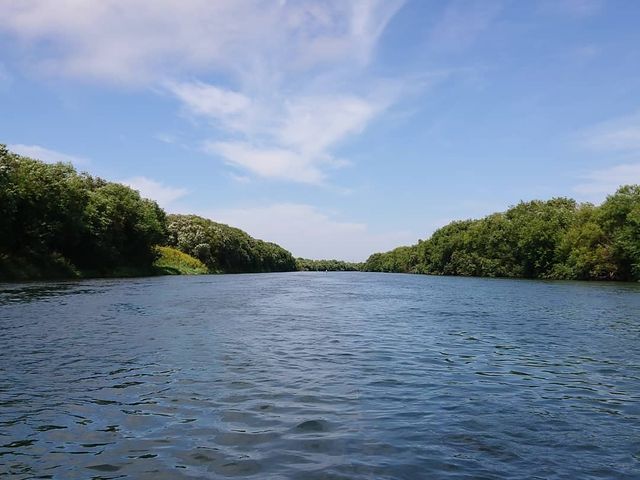 ������(�J���b�N)����̒���_HORTO�D�y