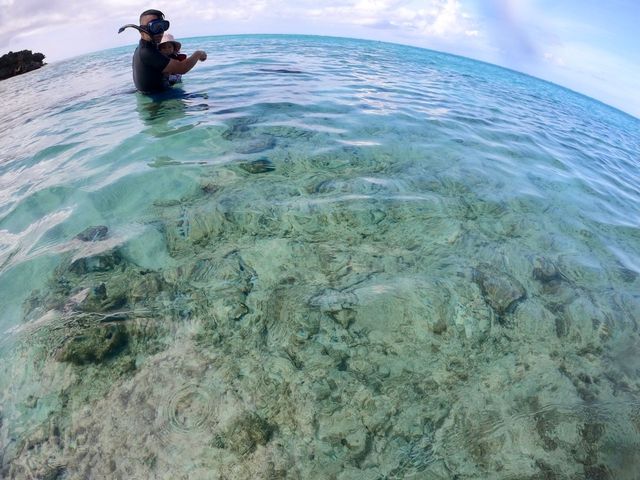 ���ꂢ�ȊC_���������r�[�`�{�[�C�N���u