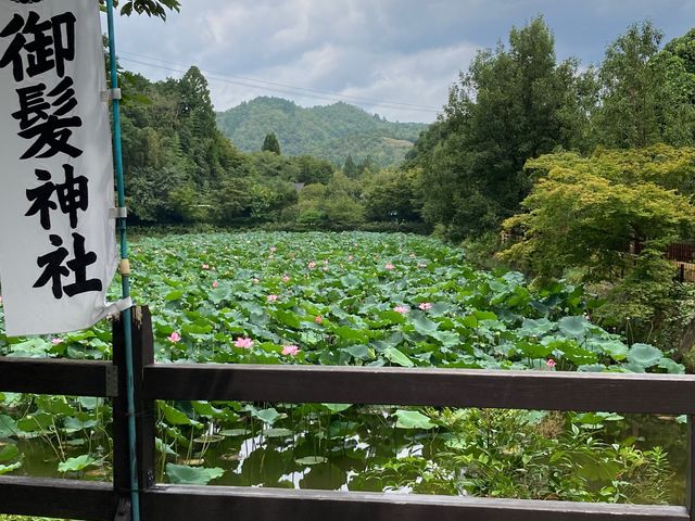 �䔯�_��_�䔯�_��