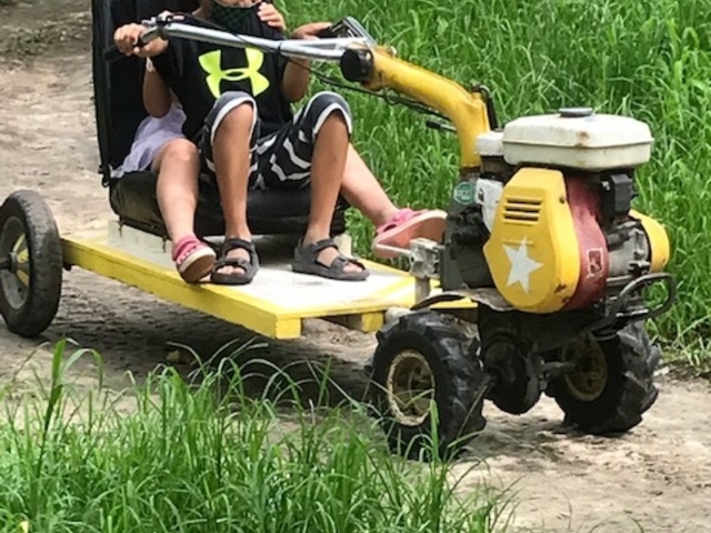 �k�^�@�̃S�[�J�[�g���q�������ł��^�]�ł��Ċy����ł܂����B_�V���_��@���}�i�J�ʉ�