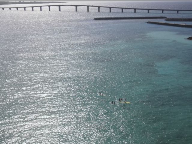 ���ԑ勴_�{�Ó����]�[�g�X�|�[�c