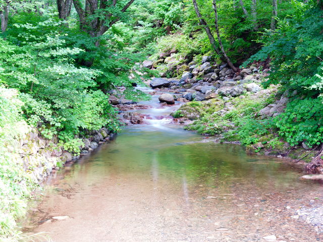 Ƒ̂炬I[gLvRedBean̓eʐ^2