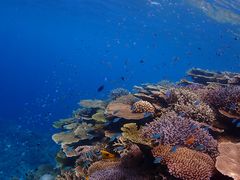 Ƃւ̃}T[rX@pb\ւ̓eʐ^1