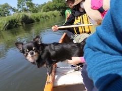 ӂ񂳂̃Jk[VbvqCւ̓eʐ^1