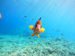 ibL[̃}T[rXނʁ[ւ̓eʐ^1