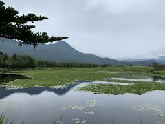 O~̊Вmc[Xgւ̓eʐ^1