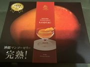 ~C̃u[XJCߔe`X̓eʐ^1