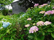 x̃}}̃o`[vȋLO̓eʐ^1