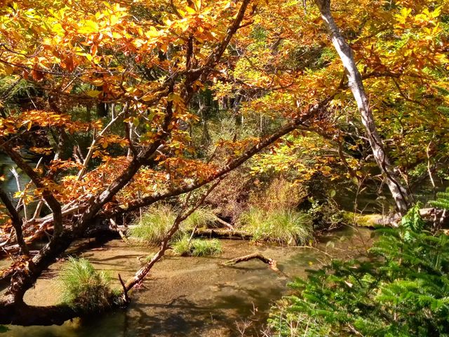 �g�t���n�܂肩��_�������Q�X�g�n�E�XJUN