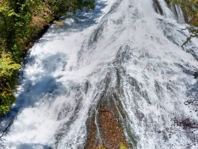 ����_�������Q�X�g�n�E�XJUN