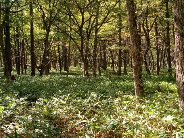 ꃖ瓒ɌXB~YiVJoB_QXgnEXJUN