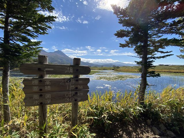 ��΂ł��B_�I�z�[�c�N���R��