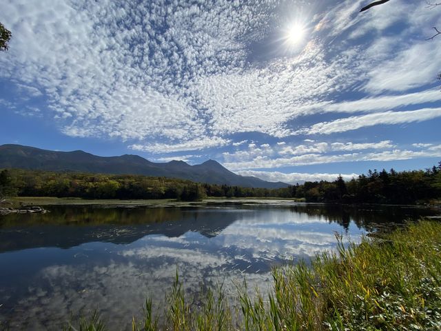 ���̓��͐���Ă��ČߑO���͕������܂萁���Ă��Ȃ������̂ŁA�Ζʂɂ���R�X���ƂĂ��Y��ł����I_�I�z�[�c�N���R��