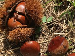 ̎Ђt[cvUւ̓eʐ^1