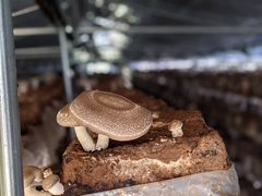 123sgnb̒OH_₫t@[ւ̓eʐ^1