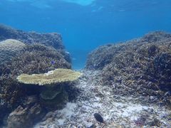 Jmarine assist DEMIւ̓eʐ^1