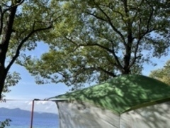 傳̓c΃AEghAcA[ւ̓eʐ^1