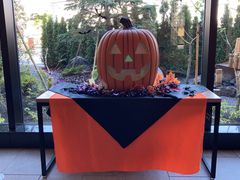 ���ٓ��̐쉷��@�C�Ɠ�/�q���[�C�b�g���]�[�g�̎ʐ^2