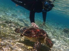 т̃RY~bNA[Xւ̓eʐ^1