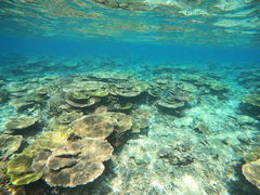 ͂₯񂳂̃}T[rX@pb\ւ̓eʐ^1