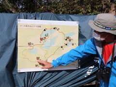 ۂ̊Вmc[Xgւ̓eʐ^1