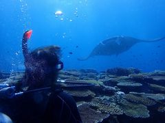 䂫̃}Vbvtaitaiւ̓eʐ^1