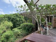 낤cafe X̃eX̓eʐ^2