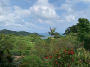 낤cafe X̃eX̓eʐ^3