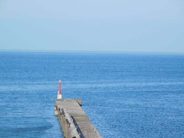 �k���̂ł����\�߂��Ɍ����܂��B_�[���z��