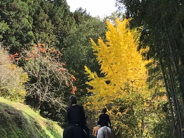 �G�~�[����񁕃G�[�������_�������n����