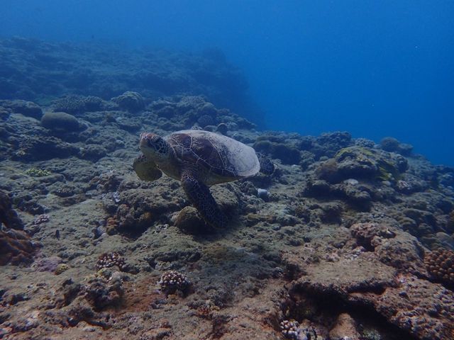 E~KۂɌ邱ƂłA܂B_RY~bNA[X